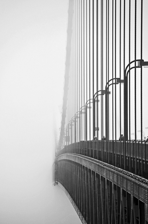 Daily Design Inspiration