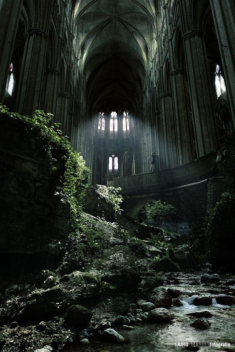 best concept art fucking forest gothic images on designspiration