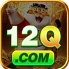 12q bet