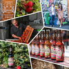 Rebello Wines