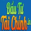 daututaichinhvm Coin