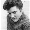 Elvis Lives