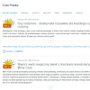 Blog firmy Cobi