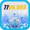 77vnorg 