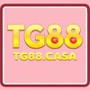 nhà cái tg88