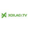 XoilacTV dicionariojuridicoonline