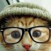 Cat W
