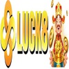 luck8 x net
