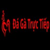 Đá Gà Trực Tiếp