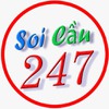 SOICAU247 co