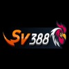 SV388 Nhà cái