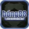 bong88 