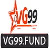 VG99 Fund
