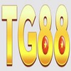 TG88 i org