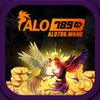 alo789wang 