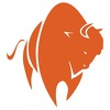 Design Bison