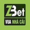 ZBETVN BET