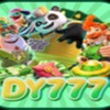Dy777