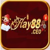 Hay88 