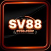 SV88 Prof