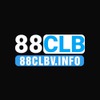 88CLBV Info