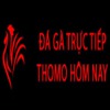 Đá Gà Trự Tiếp Thomo Hôm Nay