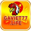 gaviet77 | gaviet77.life