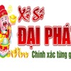xsdf23 dai