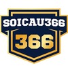 soicau 366x