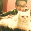 Amr mukhtar