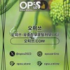강서1인샵 오피.CLUB 강서 1인샵