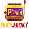 Pkwin