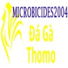 Đá Gà Trực Tiếp Thomo