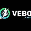 VEBO Run