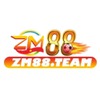zm88 team