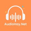 Audio Hay