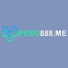 Peso888 Me