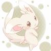Adam The Minccino