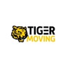 Tiger Moving