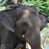 deepak kothari