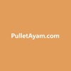 Pullet Ayam