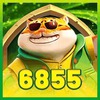 6855bet org