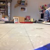 Evelien V.d Peijl