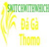 dagaswitch 