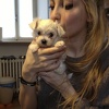 Claudia Accetta
