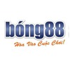 cadobong88 holdings