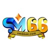 sm66 ae