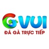 GVUI cine