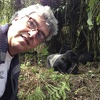 Enrique Jaramillo