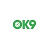 report ok9